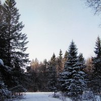 В конце ноября :: Людмила Смородинская