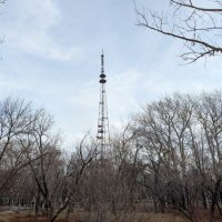 Телевышка :: Андрей Хлопонин