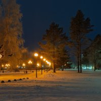 Теплая зима :: Виктор Иванович Чернюк Теплая зима :: Виктор Иванович Чернюк