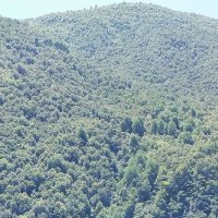 В горах :: Маргарита Б