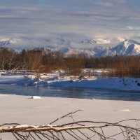 ... :: Жора Житников