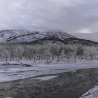 ... :: Жора Житников