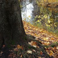 Ноябрьская зарисовка :: Рита Симонова Ноябрьская зарисовка :: Рита Симонова