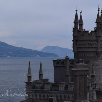 Природа Крыма :: Amazing Cosmea