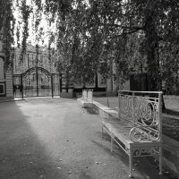 Царское село :: Наталья 