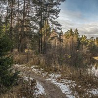 Предзимье . :: Александр Иванович Шитов Предзимье . :: Александр Иванович Шитов