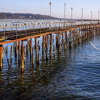 Птичий базар :: Eugene *