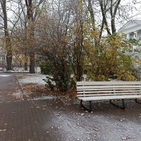 Первый снег. Зеленогорск. Ленинградская область :: Лилия * Первый снег. Зеленогорск. Ленинградская область :: Лилия *