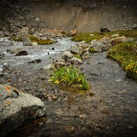 Иле-Алатауский государственный национальный природный парк :: HART BAD