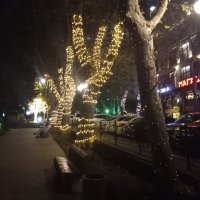 Ночной Сочи :: Виктор 