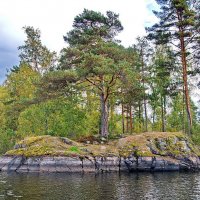 НА КАМЕННОМ ОСТРОВКЕ.  Ладога.  Карелия. :: Виталий Половинко