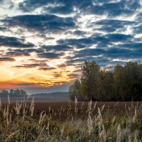 Утреняя свежесть :: Barguzin_45 Иваныч