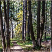 Про сентябрь :: Aquarius - Сергей