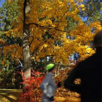 уходящая осень, ушедшая 3 :: sv.kaschuk уходящая осень, ушедшая 3 :: sv.kaschuk