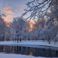 Рассвет :: Сапсан 