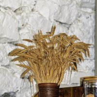 Сноп пшеницы :: Игорь Сикорский