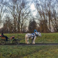 Немного отдохнуть :: Сергей Цветков