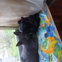 нас подслушивают... :: Галина Флора