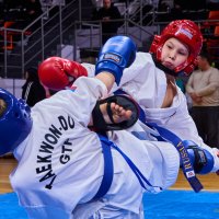 ТХЭКВОНДО :: arkadii 