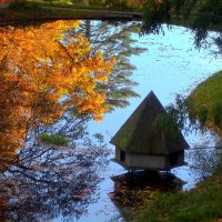 Озеро цапли :: Юрий. Шмаков