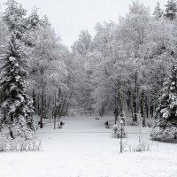 Городской парк после снегопада. :: Милешкин Владимир Алексеевич Городской парк после снегопада. :: Милешкин Владимир Алексеевич