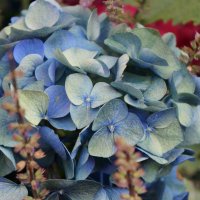 * * * :: Алёна Савина