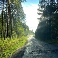 *** :: Александр 