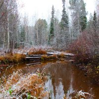 В ожидании зимы :: Сергей Никифоров