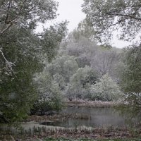 Дыхание зимы :: Алексей Дмитриев