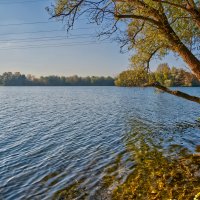 (°-°) :: Jakob Dick