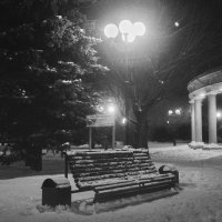 Скамейка в саду. :: Михаил Соколов