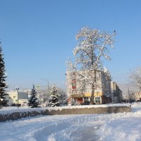 морозный день :: Александр Белов