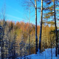 природа :: Владимир 