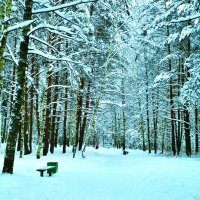 в парке :: Владимир 