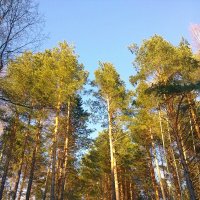 солнечный денек :: Владимир 