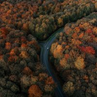 Осенний лес! :: Игорь Геттингер (Igor Hettinger)