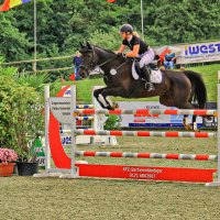 Конкур :: Андрей K.