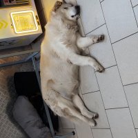 Враг не пройдет :: Венера Чуйкова