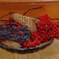 Осень :: Венера Чуйкова