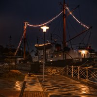 Калининград :: Лилия .