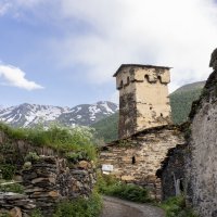 **** :: Алексей Соловьев