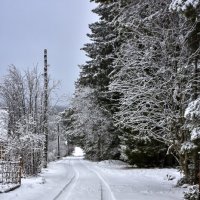 29 ноября :: Владимир VS