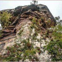 Каменный город (Чёртово Городище, Черепахи) :: Aquarius - Сергей