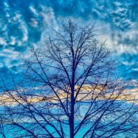 (°-°) :: Jakob Dick