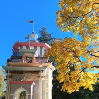 Скрипучая беседка :: Сапсан 