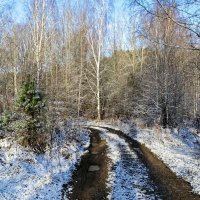 Дорога рыбаков (репортаж из поездок по области). :: Милешкин Владимир Алексеевич 