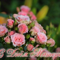 Букет с клумбы :: Любовь Сахарова