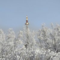 Зима :: Anna Ivanova