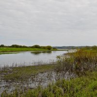 МИХАЙЛОВСКОЕ. :: Виктор Осипчук МИХАЙЛОВСКОЕ. :: Виктор Осипчук