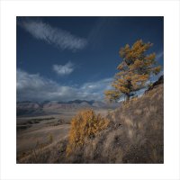 * :: Александр Иванов